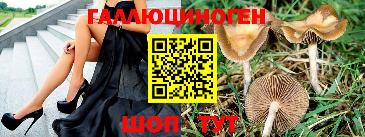 Галлюциногенные грибы Psilocybine cubensis  Псилоцибиновые грибы MAGIC MUSHROOMS  Строитель  Вход с VPN 